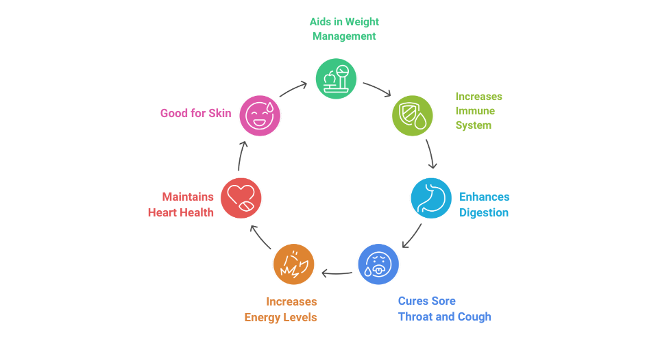 Illustration showing the health benefits of drinking honey with warm water, including curing sore throat and cough, boosting energy, improving digestion, maintaining heart health, glowing skin, strengthening immunity, and aiding weight management. A visual cycle highlights the benefits of honey in Ayurveda.