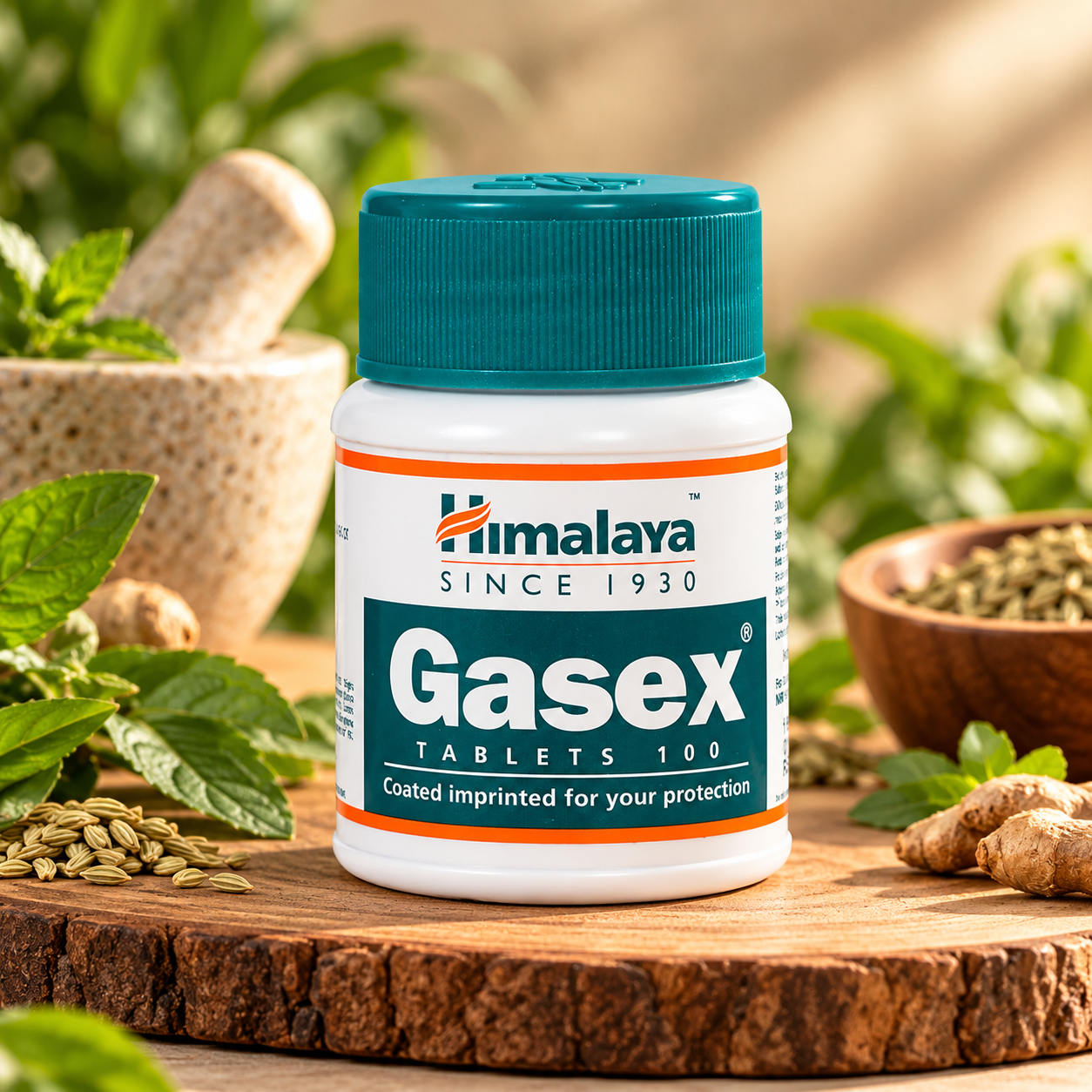 gasex1